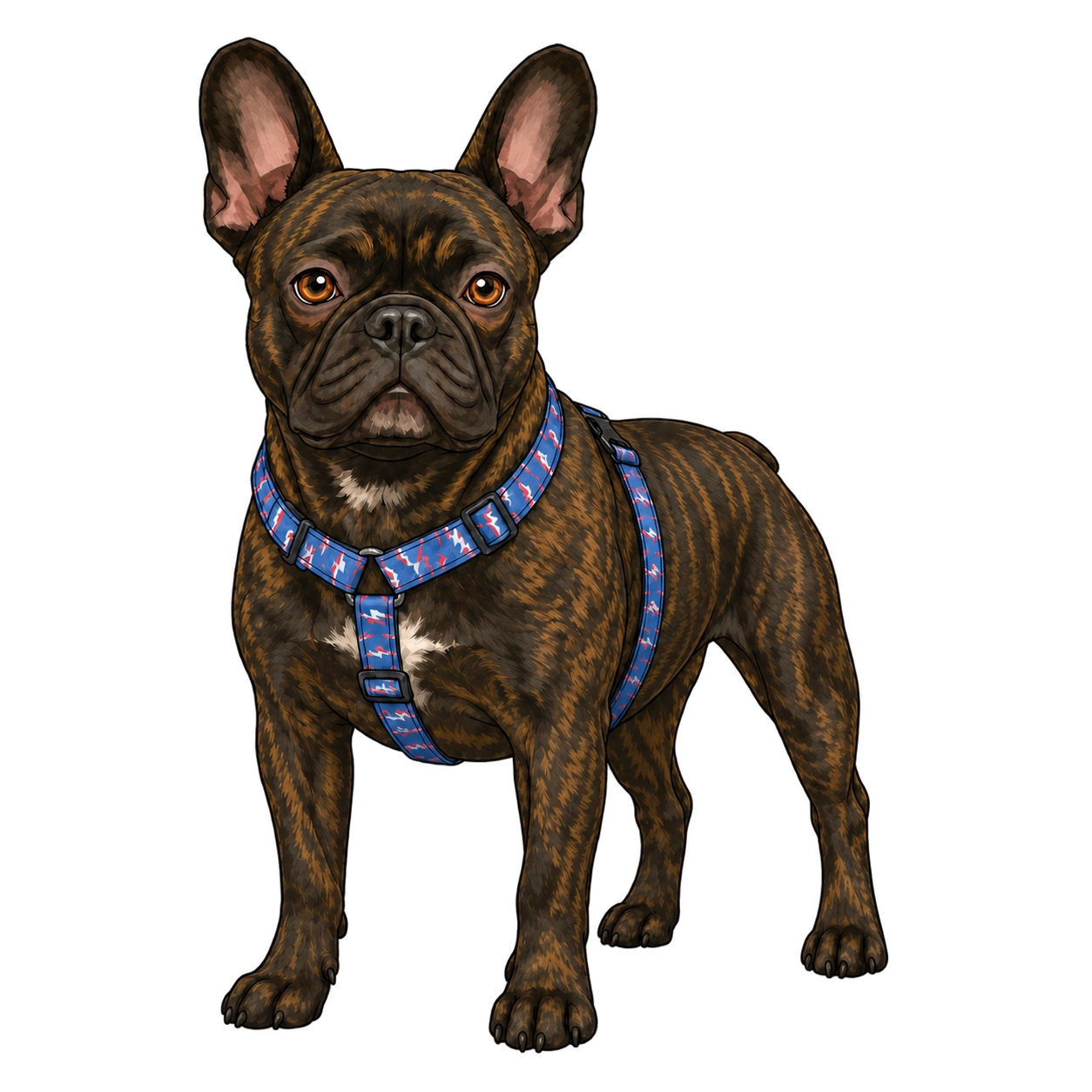 Misha’s dog
